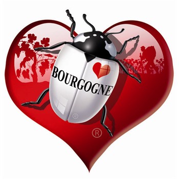 1 sticker autocollant COXYLOVE Bourgogne love pour 3