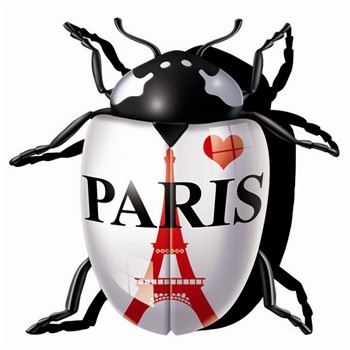 1 sticker autocollant COXYLOVE blanc Paris love pour 3